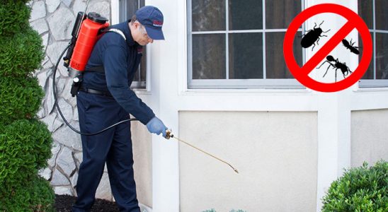 Tirebolu Uçan Haşere İlaçlama böcek ilaçlama ve haşere kontrolü — ilaclama-tr.com
